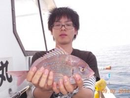 チダイは大山沖の特産魚