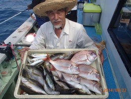 チダイがかなりの魅力のターゲット