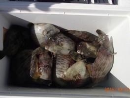 20151013162937-1.jpg