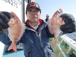 小ダイは確実にコンスタントです