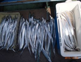大変良く釣りましたで賞