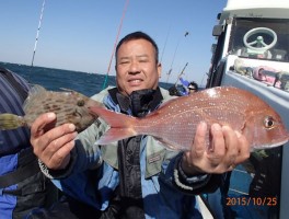 大カワハギに大型マダイゲットだ