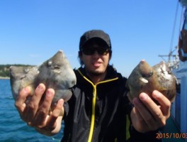 2015103164913.jpg