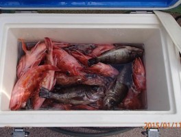 2015111162426-1.jpg
