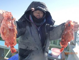 やっぱり水道産カサゴですね