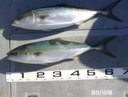 2015128173418-1.jpg