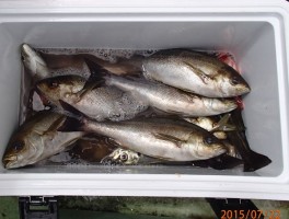 2015722161236-1.jpg