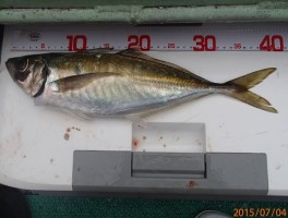 201574155521-1.jpg