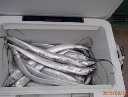 2015925152916-1.jpg