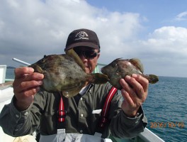 伊良湖産カワハギ絶好釣