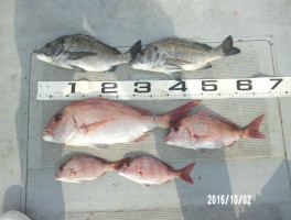 201610316124-2.jpg