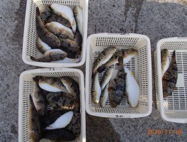 20161118153518-3.jpg