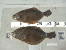 2016111817938-3.jpg