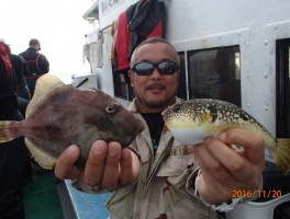 ショウサイフグも極美味