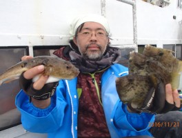 フグの釣果もかなりの魅力