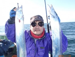 伊良湖水道産タチウオ釣りでファイト満々