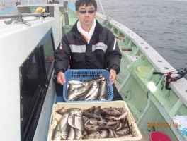 メバル＆大アジ　釣りすぎご用心