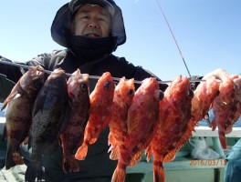 メバル＆カサゴの二本立て釣行