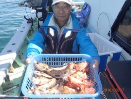 メバル＆カサゴで釣りまくり