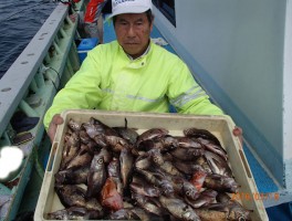 余裕で釣り放題