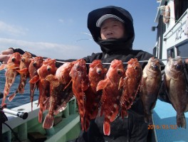 伊良湖水道でのメバル＆カサゴですよ・・