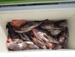 2016322153237-1.jpg