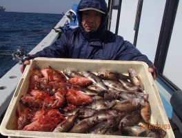 こちら様もメバル＆カサゴの大漁節