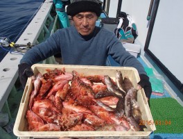 伊良湖水道産カサゴ入れ食いでしたね