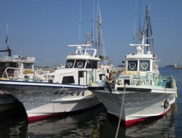 201639205333-1.jpg