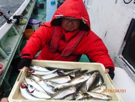 やっぱり大山沖産だ