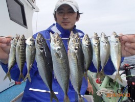 マアジ釣り釣りまくり全開中