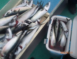 てんこ盛り盛り