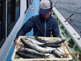 ど山盛り釣果