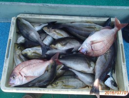 201671165716-2.jpg
