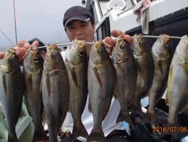 20167617213-2.jpg