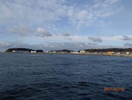 本日の海上しっかりと穏やかな師崎沖漁場です