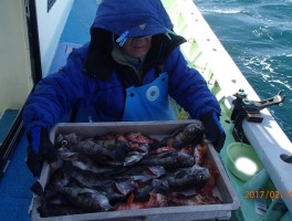 釣りまくりですよ