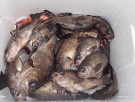 201735153937-4.jpg