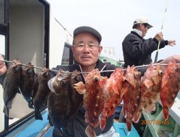 メバル＆カサゴの二本立て