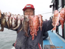 【メバル・カサゴコース】根魚の定番二本立て大漁1
