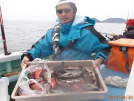【メバル・カサゴコース】根魚の定番二本立て大漁6