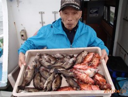 【メバル・カサゴコース】根魚の定番二本立て大漁8