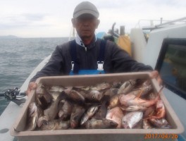 【伊良湖沖メバル・カサゴコース】極メバルで満載6