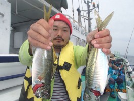 大山沖産　極マアジ