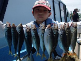 少年君マアジの入れ食いだね