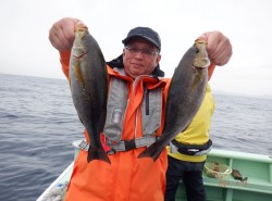 【大山沖イサキ&アジコース】爆釣の予感釣果急上昇サムネイル