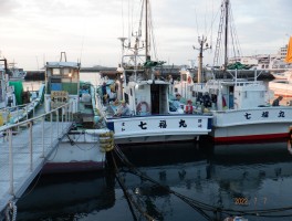 DSCF5751