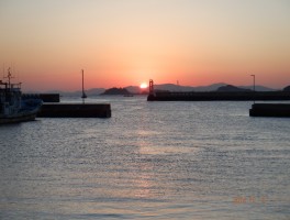 DSCF6802
