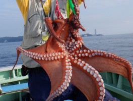 tako12