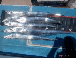 t12